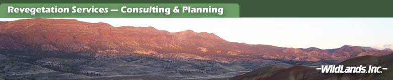 Consulting and Project Planning
