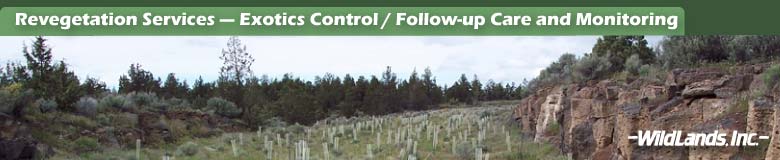 Erosion & Exotics Control / Monitoring & Follow-up Care
