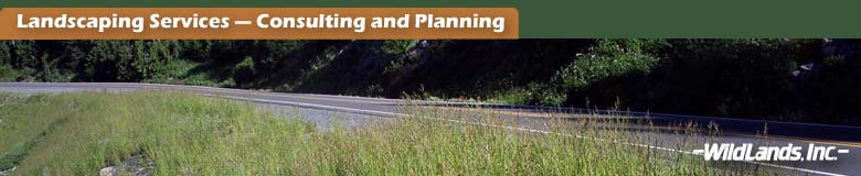 Consulting and Planning