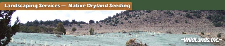 Native Dryland Seeding