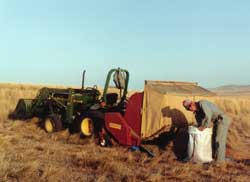 Seed Collecting