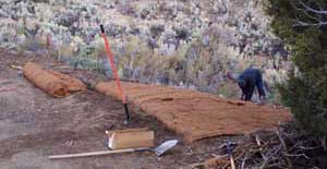 coir matting