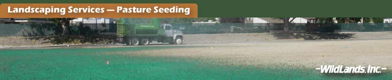 Pasture Seeding