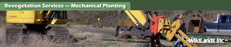 Mechanical Planting